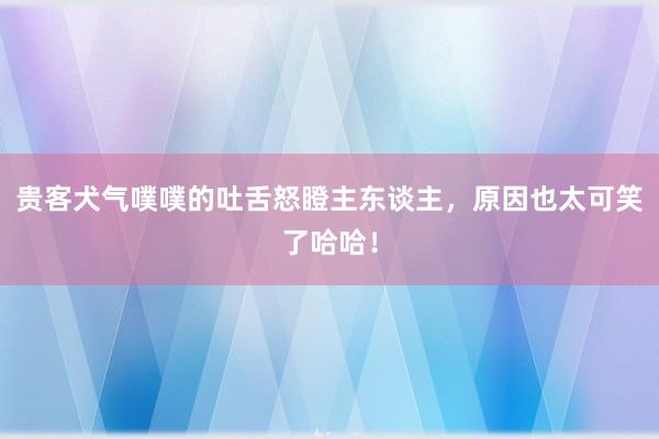 贵客犬气噗噗的吐舌怒瞪主东谈主，原因也太可笑了哈哈！