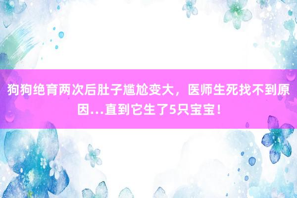 狗狗绝育两次后肚子尴尬变大，医师生死找不到原因…直到它生了5只宝宝！