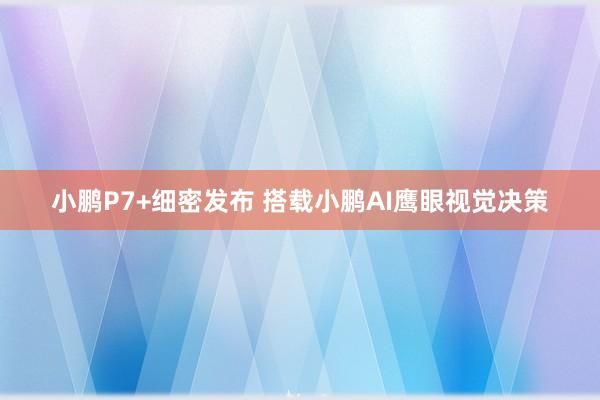 小鹏P7+细密发布 搭载小鹏AI鹰眼视觉决策