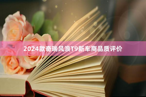 2024款奇瑞风浪T9新车商品质评价