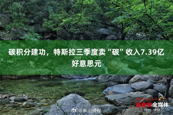 碳积分建功，特斯拉三季度卖“碳”收入7.39亿好意思元