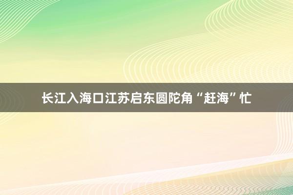 长江入海口江苏启东圆陀角“赶海”忙